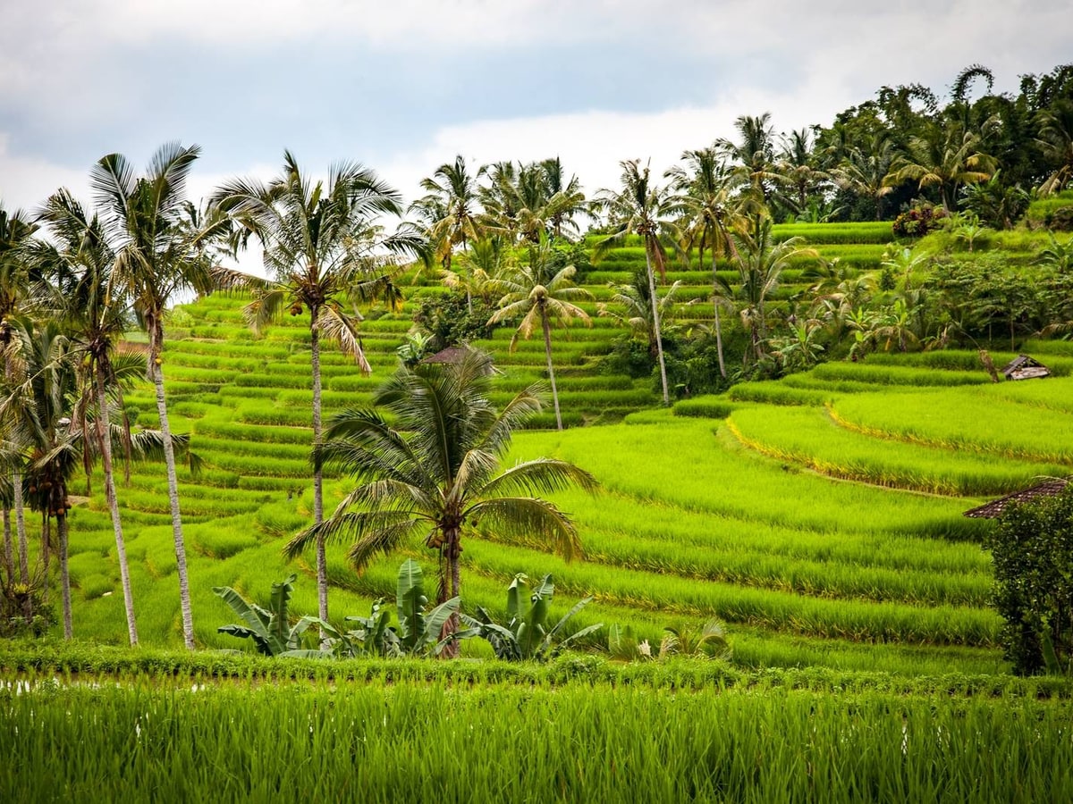 3 Nights Quick Bali Escape